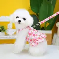 Detail of pink peach pattern pet harness dress and leash set on white Bichon dog - S / Apple