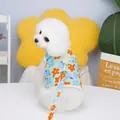 Floral print pet harness and leash set in mint green on a white Bichon dog - S / Blue