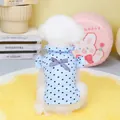 Close-up of light blue floral pet shirt with plaid bow and ruffled collar detail - S / Blue