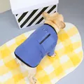 Close-up of blue pet vest with back zipper pocket and metal D-ring on French Bulldog - S / Sapphire Blue