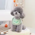 Grey poodle wearing a green checkered pet bib with Korean heart embroidery on a beige stool - S / Light Green
