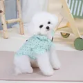 Detail of mint green pet shirt with black polka dots and ruffle sleeves on small dog - S / Green