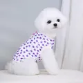 Gros plan d'un chien blanc portant un gilet pour animaux à imprimé fruit violet - S / Violet