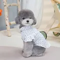 Close-up of pet polka dot shirt with ruffles and high collar on a small dog - S / White