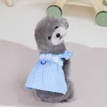 Sky blue striped pet summer dress with white lace flowers and built-in leash ring - S / Sky Blue Plaid