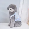 Detail view of light blue pet dress with bow print on a soft plush rug background - S / Blue