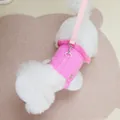 Close-up of pink canvas pet harness with fringe detail and matching leash on a puppy - S / Rose Red