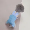 Detail view of denim pet overalls with blue striped shirt and metal D-ring attachment - S / Blue Stripe