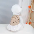 Close-up of khaki polka dot pet dress with lace trim and leather tag on a white dog - S / Light Brown