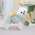 Detail van groen-wit gestreepte huisdier jumpsuit met een schattig 3D-wortel decor - S / Groen
