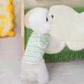 Detalle del chaleco a rayas para mascotas con bolsillo de carita feliz en perro blanco - S / Verde