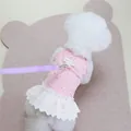 Vestito a fiori rosa per animali con bordo in pizzo e guinzaglio viola incluso - S / Vestito Rosa E Guinzaglio