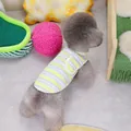 Vista detallada del chaleco a rayas para mascotas con bolsillo de sonrisa en caniche - S / Amarillo