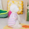 Detalle de chaleco a rayas de colores para mascotas con bolsillo de cara sonriente - S / Rosa