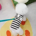 Detail of striped pet vest with bear applique and green leash ring on white dog - S / Black & White Stripes
