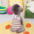 Close-up of pet striped vest featuring a cute bear embroidery and metal D-ring for leash - S / Brown White Striped