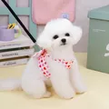 Pink heart print dog harness and leash set with bow detail on a small white puppy - S / Red