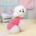 Détail du gilet rayé rose pour chien avec anneau en D et étiquette sur chien blanc - S / Rayures Rouges