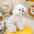 Quilted floral pet vest with ribbed trim worn by a white dog in a cozy home setting - S / Pink Tulip Rabbit Style