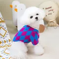 Close-up of blue and purple argyle knit pet sweater with white ribbed neck and cuffs - S / Blue