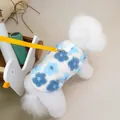 Detail of dog vest featuring 3D blue flowers with a yellow nylon leash set - S / Blue Floral