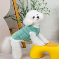 Detail der minzgrünen Waffelfleece-Haustierweste mit weißen Rippbündchen an einem Bichon - S / Grün