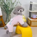 Dettaglio di una tuta in pile rosa per animali con orecchie di peluche e nota musicale blu - S / Rosa