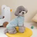 Pull en maille arc-en-ciel pour animaux sur un caniche, détail de texture douce - S / Bleu