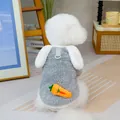 Gray coral fleece dog hoodie featuring bunny ears and a carrot accent on the back - S / Gray