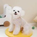 Vue détaillée du t-shirt d'été arc-en-ciel pour animaux sur un petit chien Bichon - S / Rose