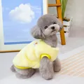 Detail of yellow plush pet vest with bear badge on a toy poodle for small dogs - S / Yellow