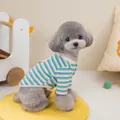 Close-up of soft striped cotton knit fabric and square label on pet t-shirt - S / Blue