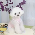 Rosa kühlende Hundeweste für kleine Hunde in gemütlicher Heimumgebung mit einem Bichon - S / Rosa