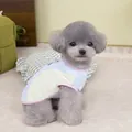 Détail du gilet en maille de soie glacée pour animaux sur un caniche gris au salon - S / Bleu