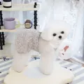 Detailaufnahme des grauen Strickkleides für Haustiere mit weißem Kragen für Hunde - S / Grau