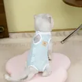 Détail du vêtement respirant bleu pour chat avec boutons-pression et écusson M en cuir - S / Bleu Ciel