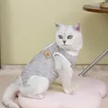 Vue détaillée du body de récupération gris pour chat avec boutons et taille M - S / Gris