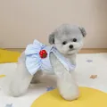 Detail of blue striped pet dress with red strawberry decor and white lace edges - S / Blue