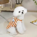 Nahaufnahme der orange-weiß-blau gestreiften Hundeweste mit Cartoon-Hunde-Patch - S / Orange