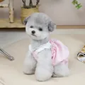 Detailansicht des rosa Haustierrocks mit weißem Rüschenkragen für kleine Hunde - S / Rosa