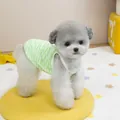 Close-up of green and white striped pet vest on a small dog in a cozy indoor setting - S / Green Stripes