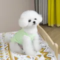 Close-up of green and white striped pet vest on a white dog in a cozy home setting - S / Green