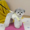 Detail of yellow denim pet harness and leash set on a small grey dog with metal D-ring - S / Bronzing Yellow