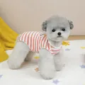 Détail du gilet pour chien à rayures roses et blanches en coton doux avec étiquette - S / Orange