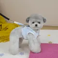 Blue marble patterned pet harness and leash set shown on a small grey poodle dog - S / Metallic Blue