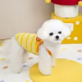 Detail of colorful striped pet vest with orange trim and Good Luck badge on small dog - S / Yellow