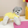 Détail du gilet d'été à rayures jaunes pour chien porté par un caniche gris - S / Jaune