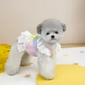 Close-up of tie-dye pet harness dress with delicate white lace trim and D-ring detail - S / Colorful Tie-dye Style
