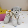 Detalle de vestido a cuadros para mascota con lazo amarillo en un caniche gris acogedor - Caqui