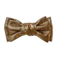 Macro shot of double-layered gold bow tie with shiny metallic dotted texture - Coffee